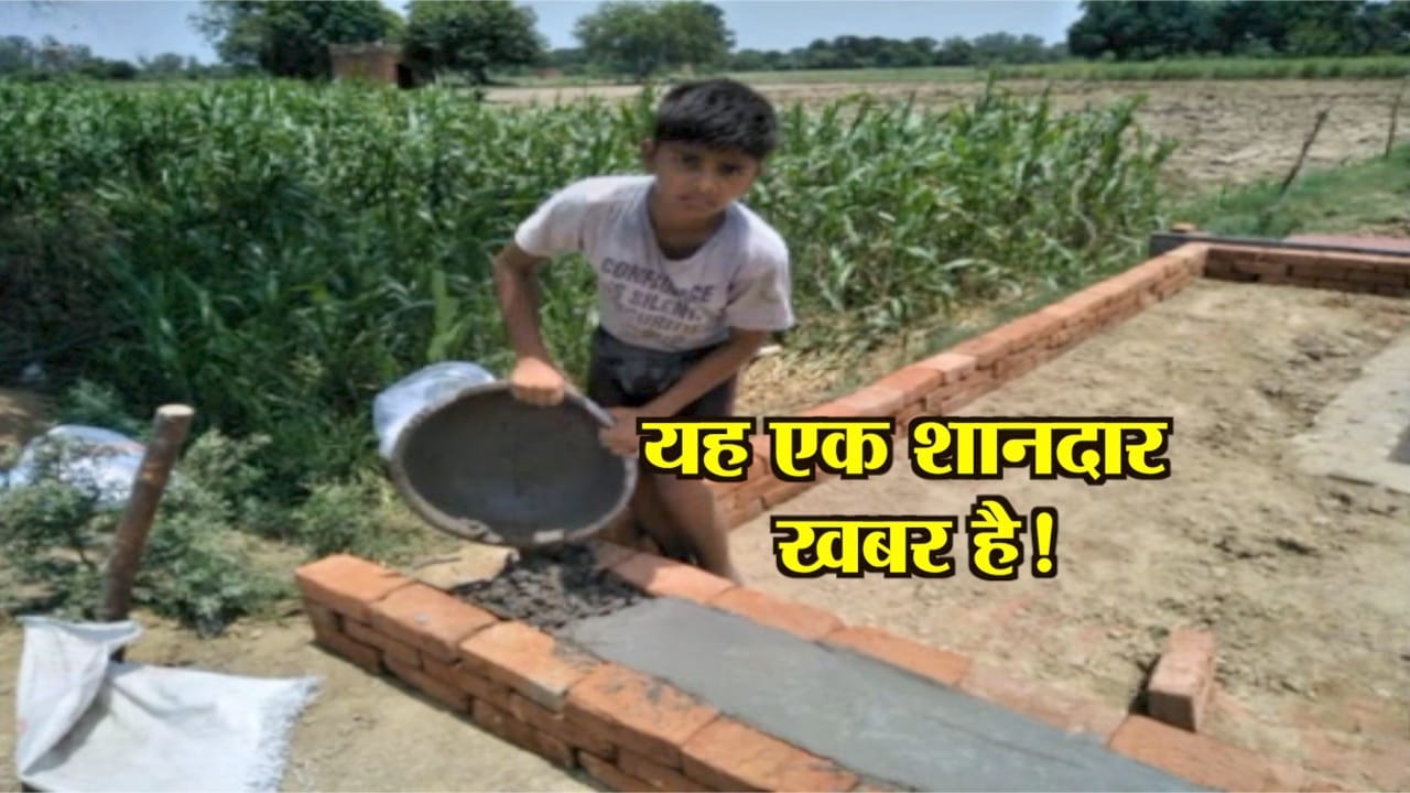 UP NEWS
