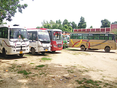 14 buses caught, 13 seals, one MLA rescued