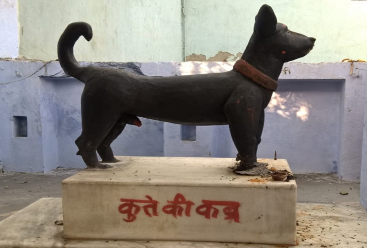 Five Strange Dogs temples in india