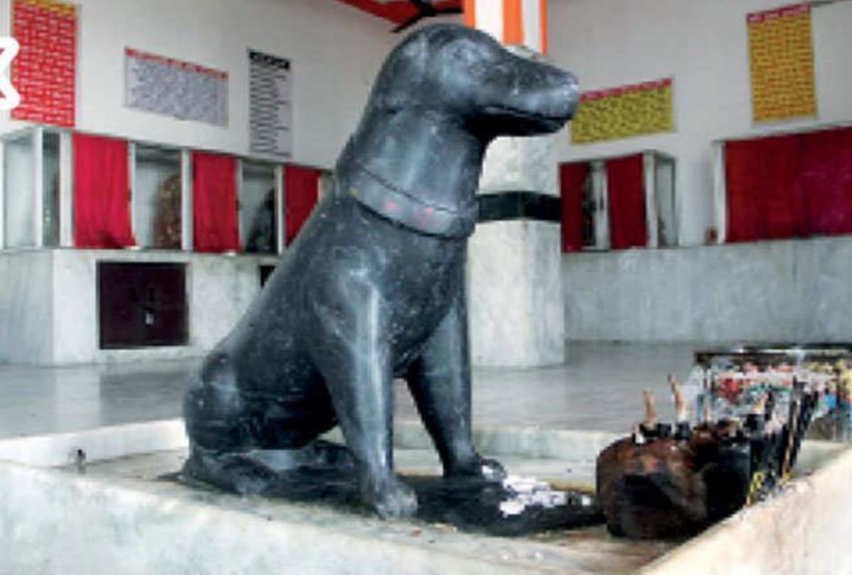 Five Strange Dogs temples in india