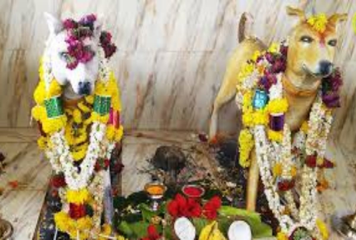 Five Strange Dogs temples in india