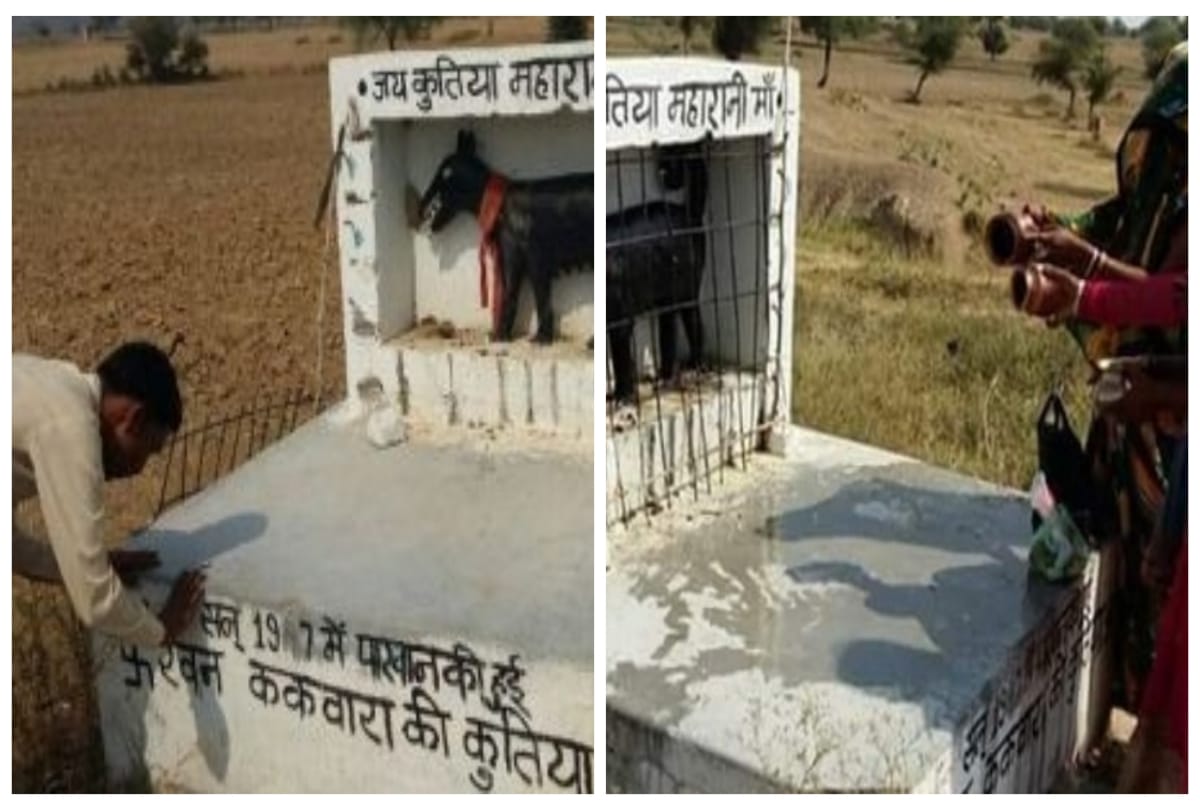 Five Strange Dogs temples in india