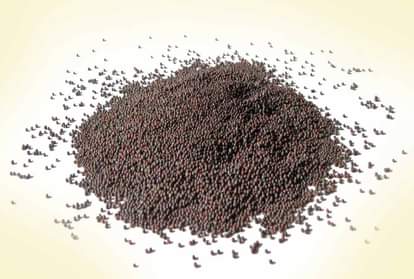 Rye mustard seeds remedies is good will give you protection from evil eye