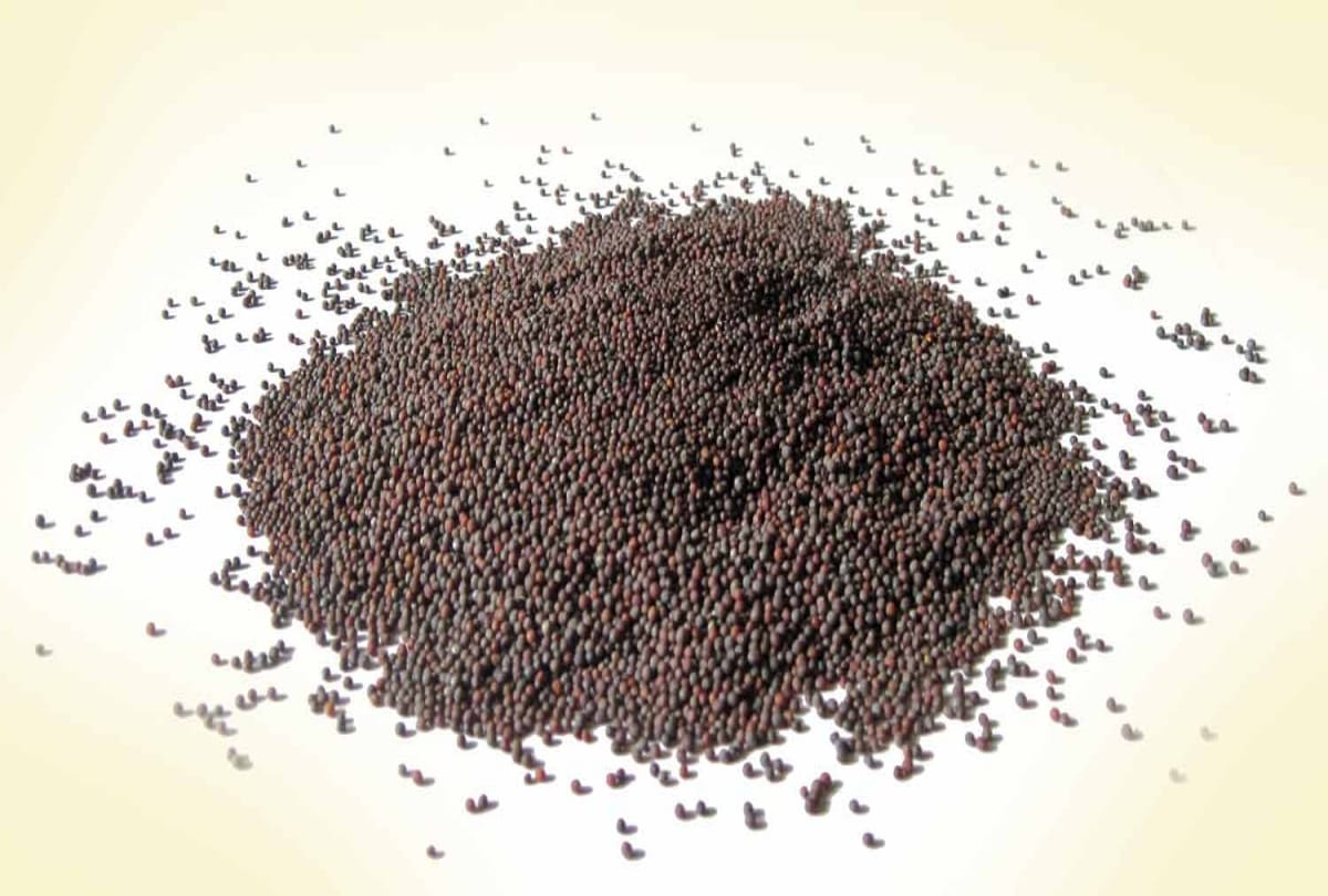 Rye mustard seeds remedies will give you protection from evil eye