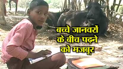 Situation of  Primary school of sultanpur , uttar pradesh 