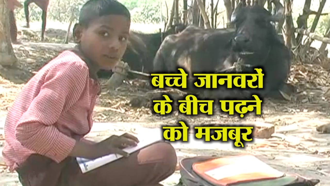 sultanpur school