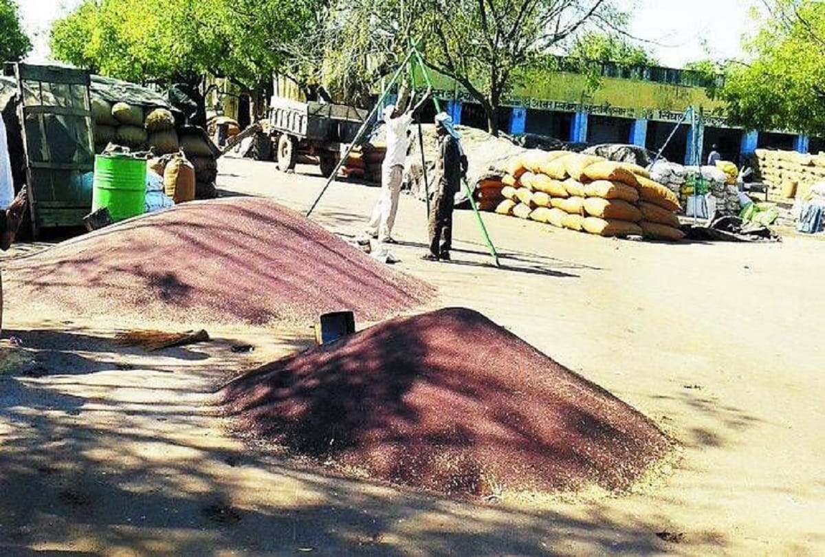 Farmers benefit from bumper procurement of crops