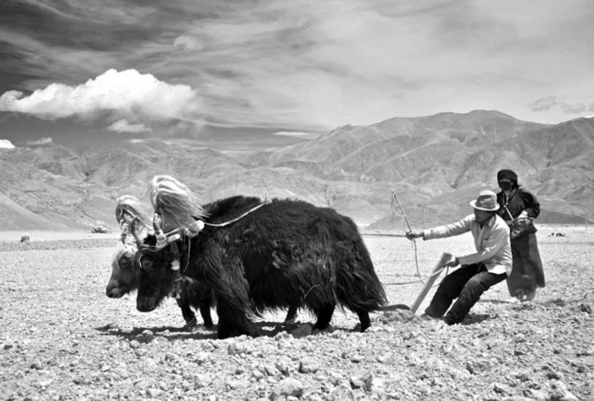 Twenty facts about the beautiful Tibetan people and tourist place of this state