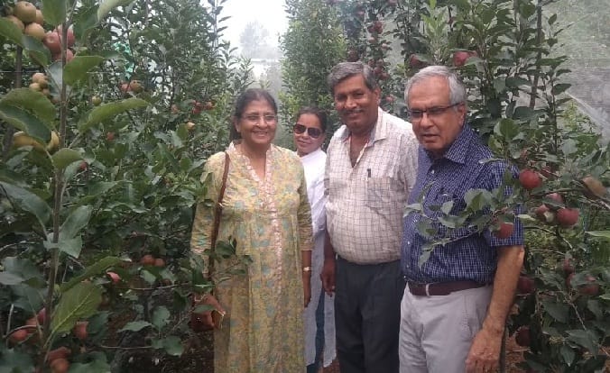 इटली के रसभरे सेब छा गये भीमताल के चांफी में