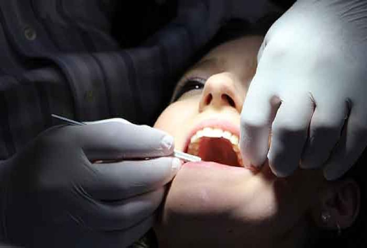 boil food makes human jaw smaller says study