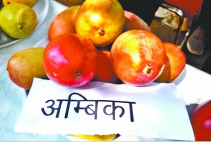  Many varietes of mango found in mango fair