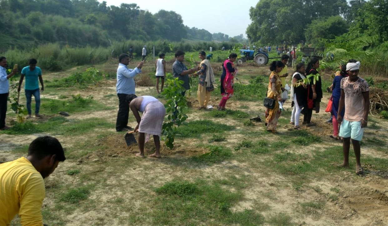 Planting of trees on the banks of Tamasa