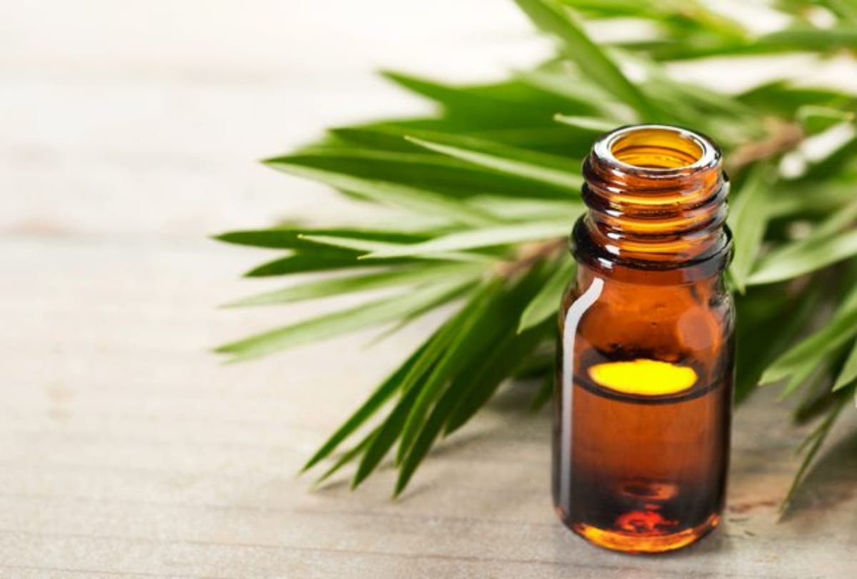 tips for remove dandruff with vinager and aloe vera in hindi