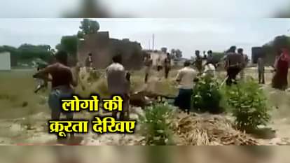 bull mob lynching in bhadohi of uttar pradesh in india 