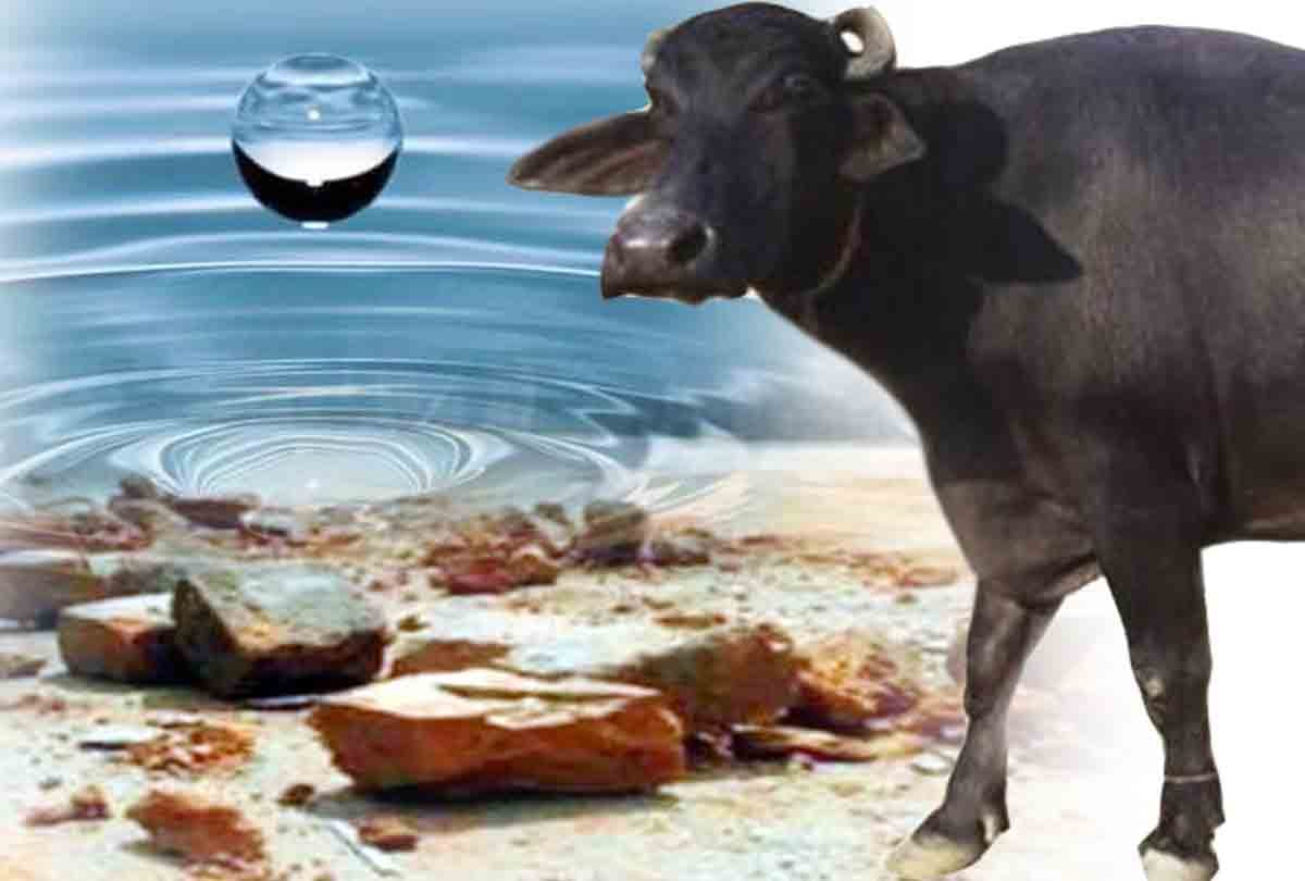 discord due to a drop of water