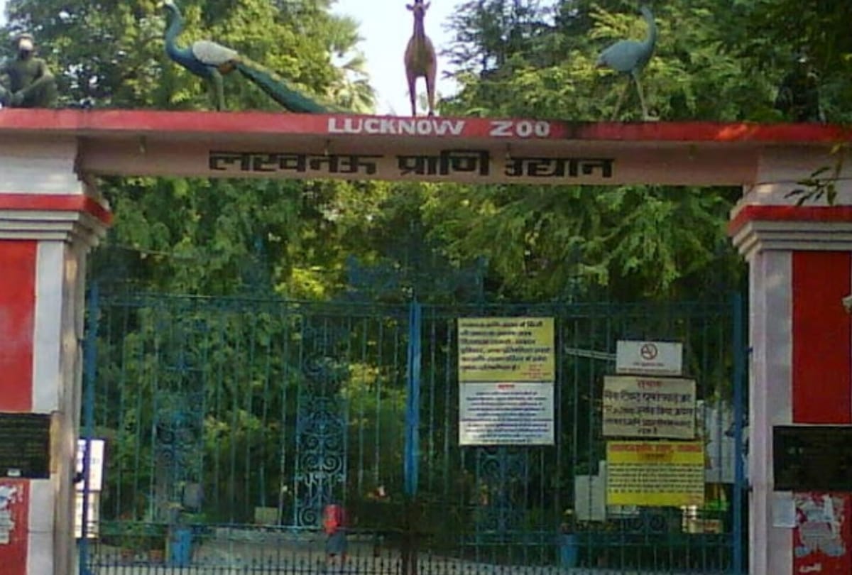 hukku monkey will come from Shillong in Lucknow Zoo