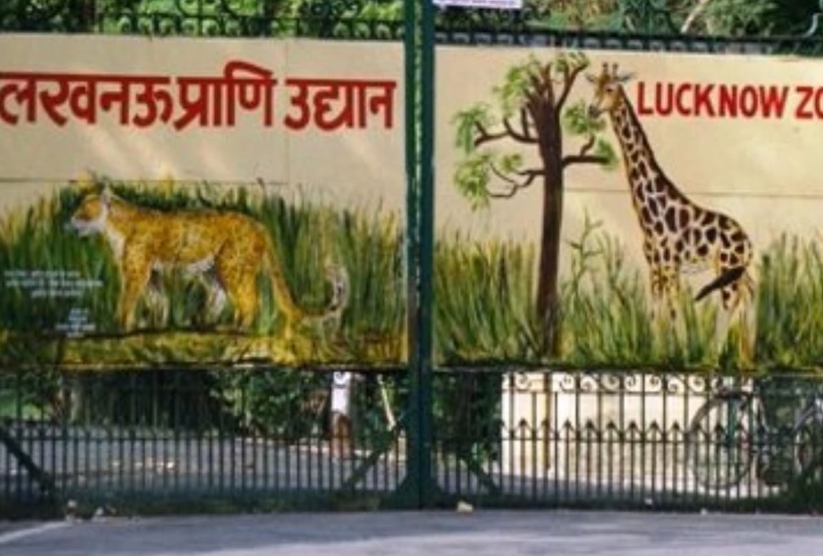 Lucknow zoo employee died in hippo attack.