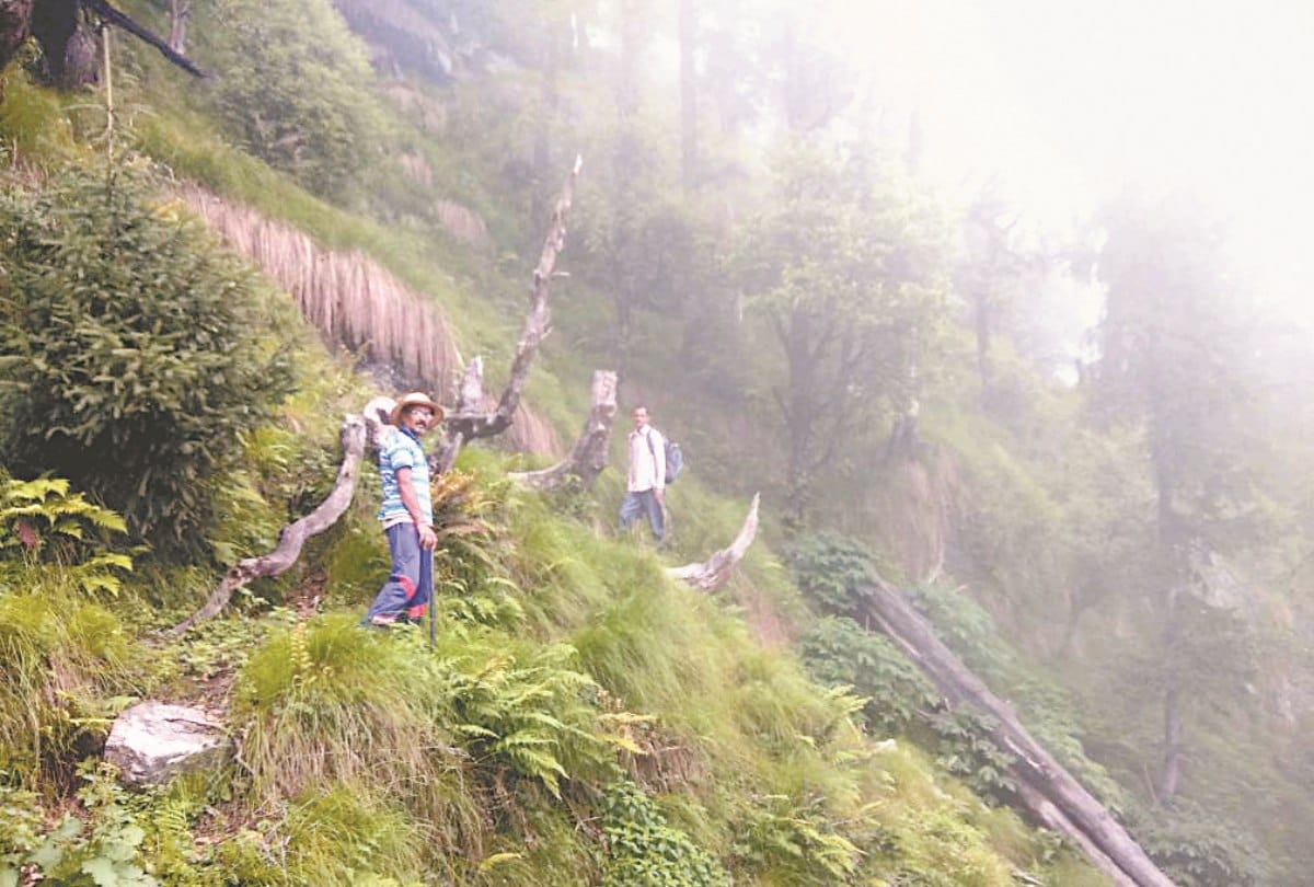 Mega search operation in choordhar to find shruti