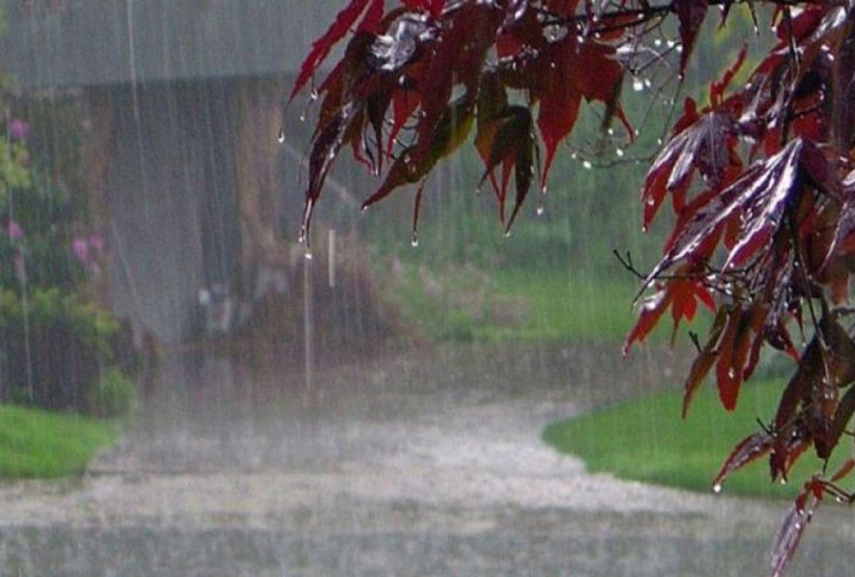 Meteorological Department issued alerts for rain