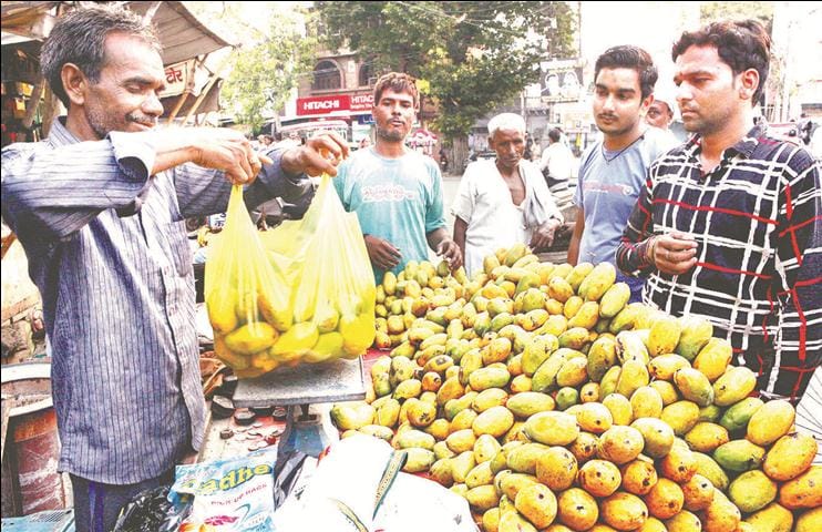 Do not have the penis at the stop: polythene in every hand ... how are the city clean