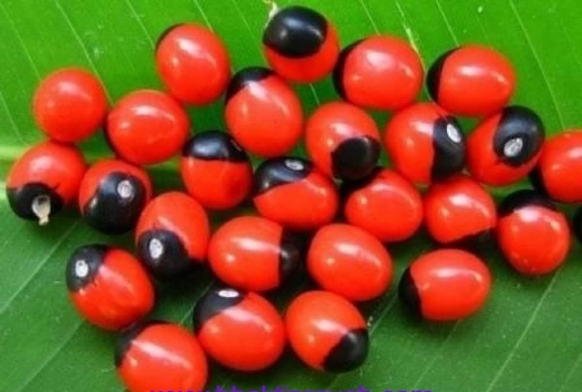 These simple remedies totke will give you wealth and prosperity