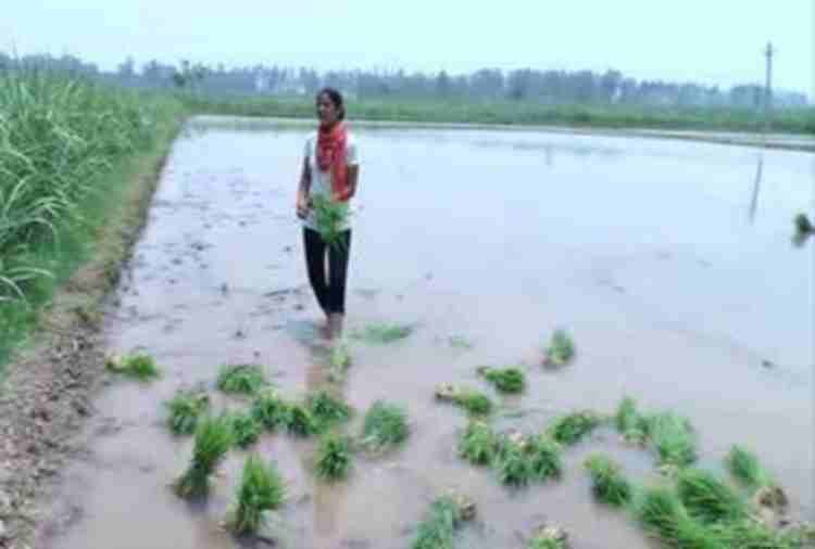 chandigarh, brave daughter lady farmer amarjeet kaur inspirational story