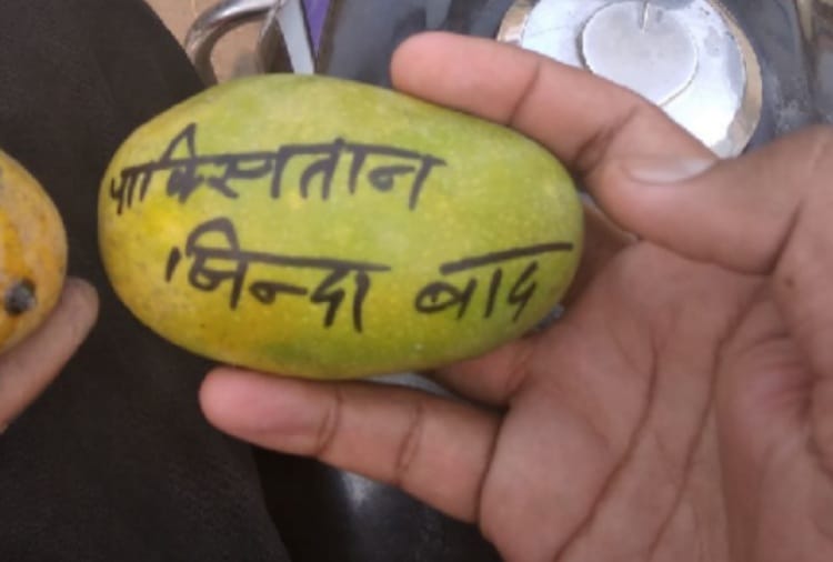  pakistan jindabat wrote on mango in panipat