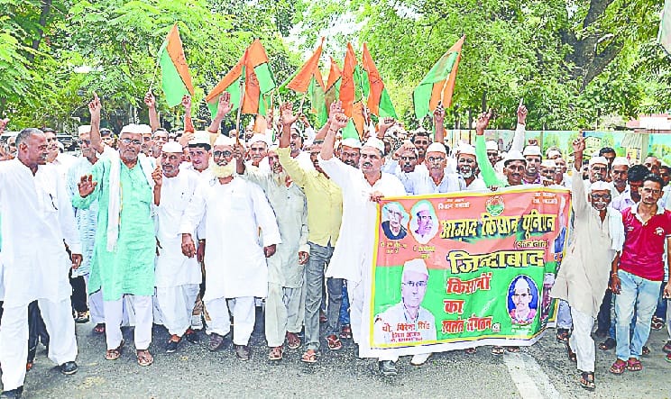 Crusaders in the Collectorate