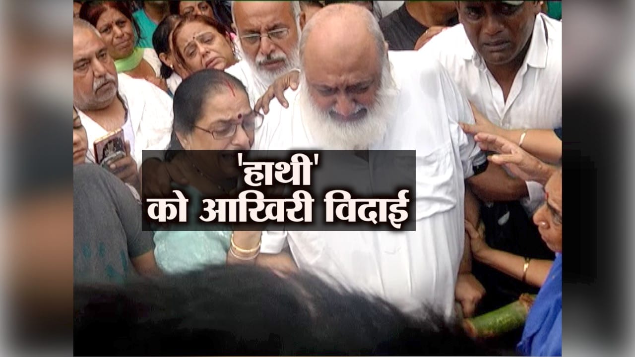 डॉ हाथी