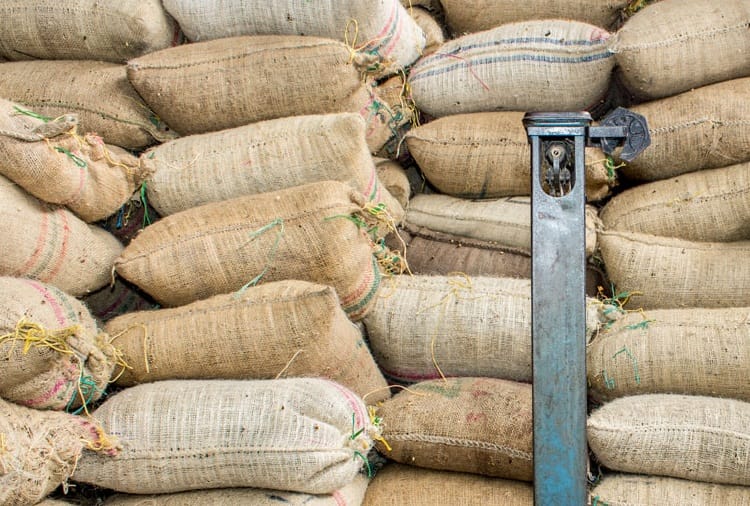 1.5 million quintal grains in danger condition in Haryana