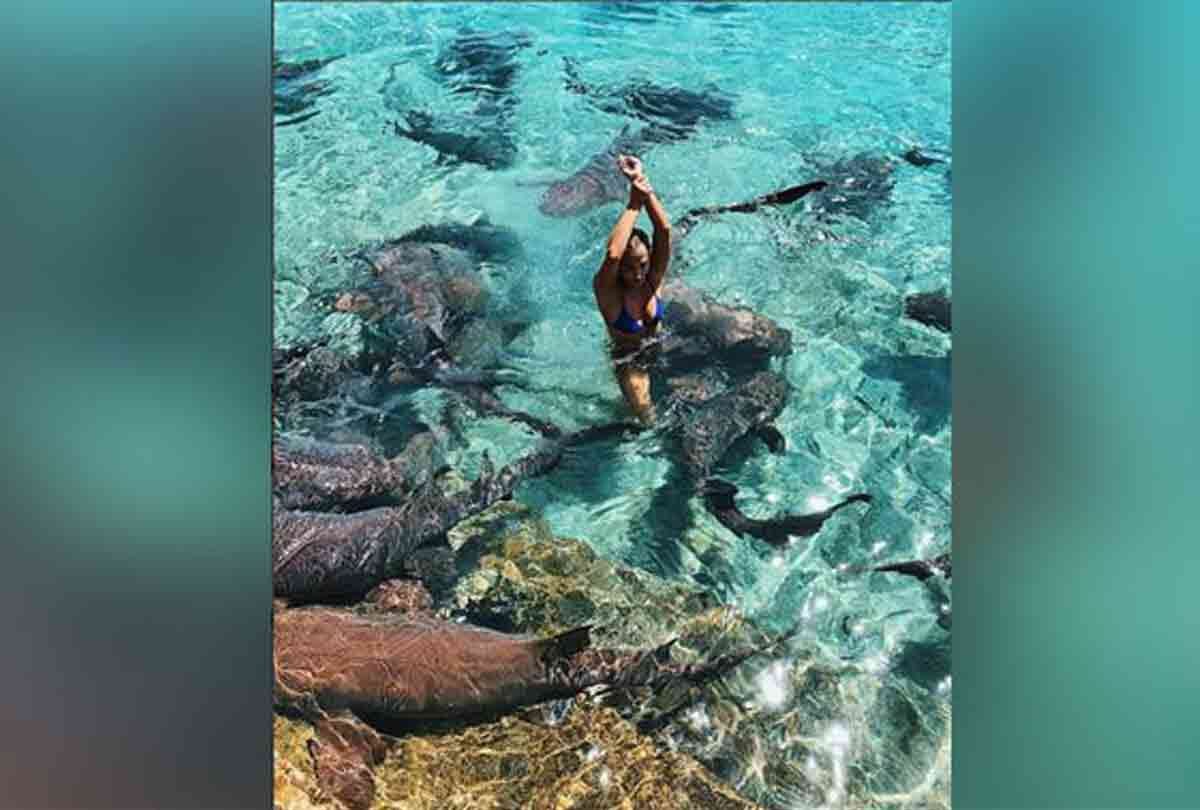 model Katarina Elle Zarutskie photoshoot bahamas shark attack and cut her hand