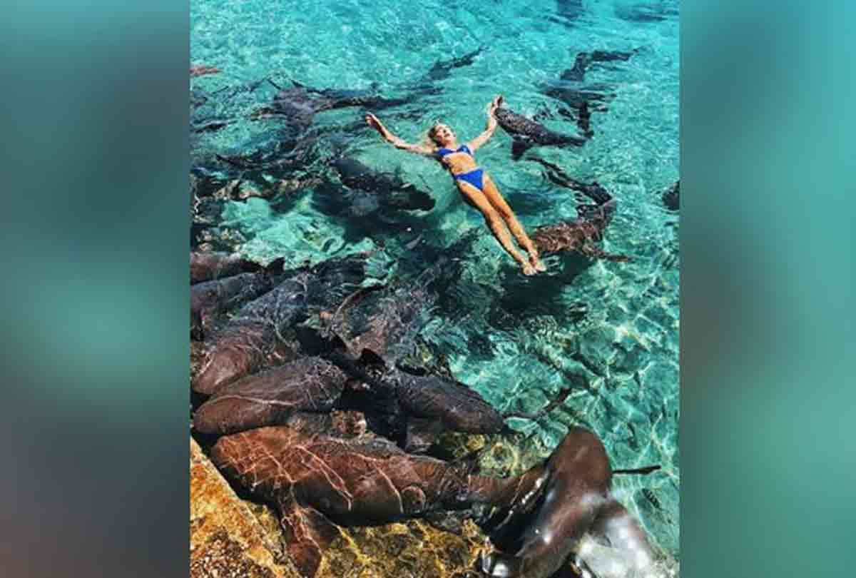 model Katarina Elle Zarutskie photoshoot bahamas shark attack and cut her hand