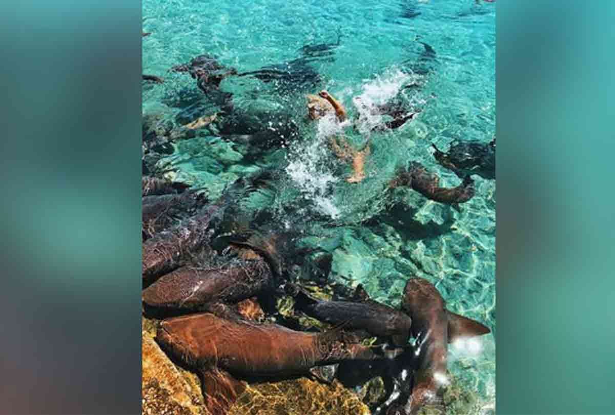 model Katarina Elle Zarutskie photoshoot bahamas shark attack and cut her hand