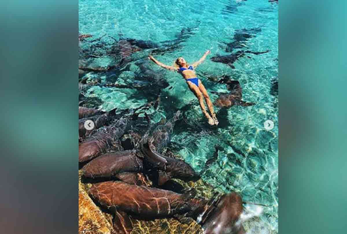 model Katarina Elle Zarutskie photoshoot bahamas shark attack and cut her hand