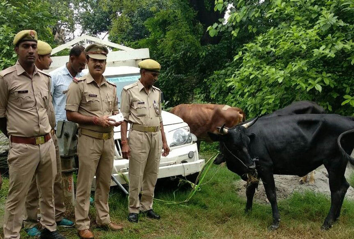 प्रशिक्षु लेखपालों को नोटिस जारी