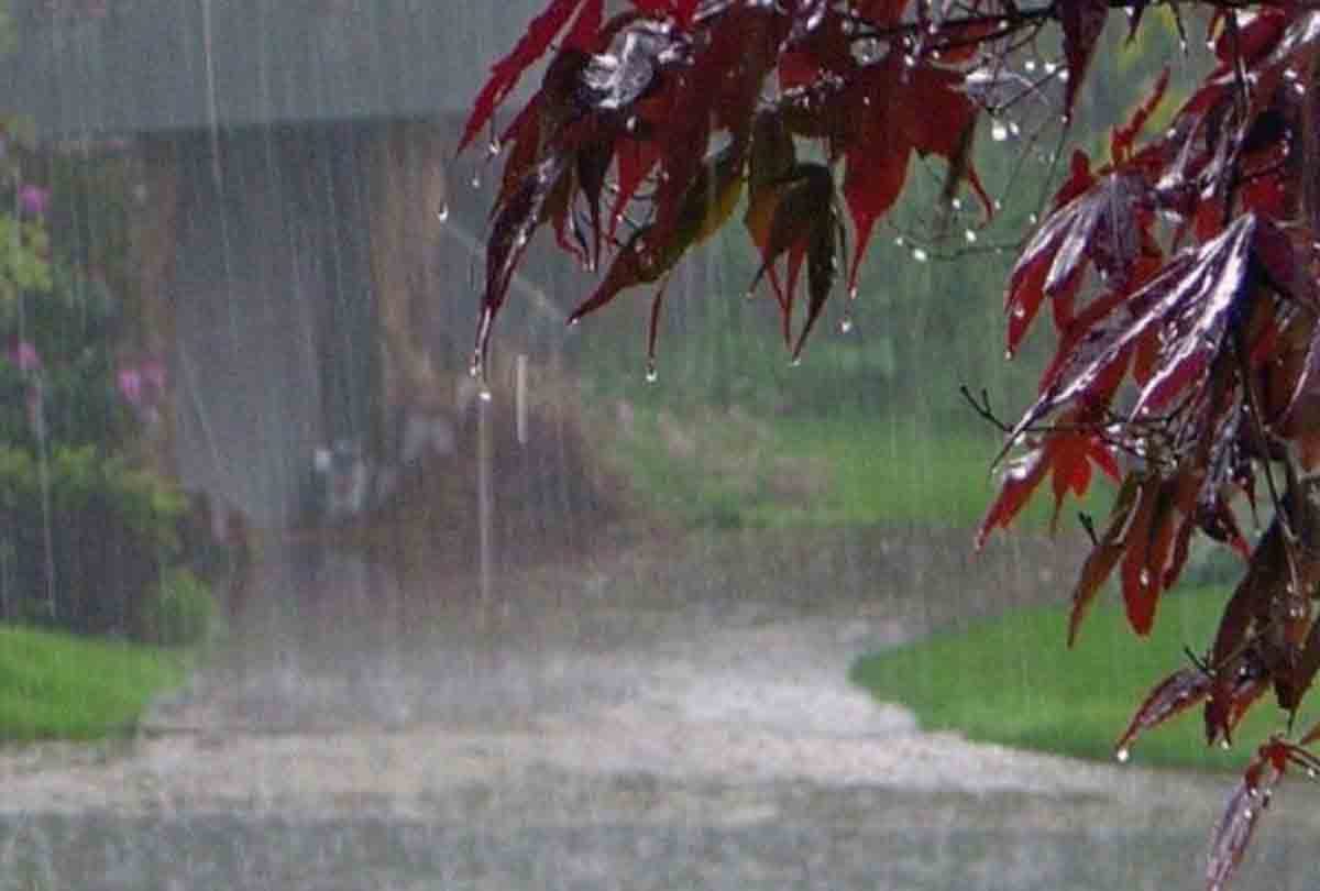 Meteorological Department issued alerts for these cities of UP