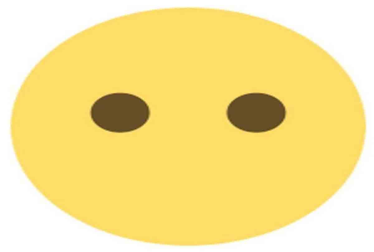 meaning hidden behind Emoji