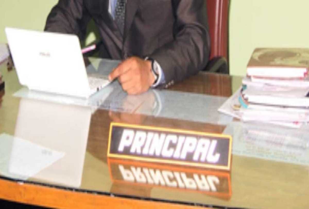 permanent principal to 95 degree colleges  in himachal pradesh after four years