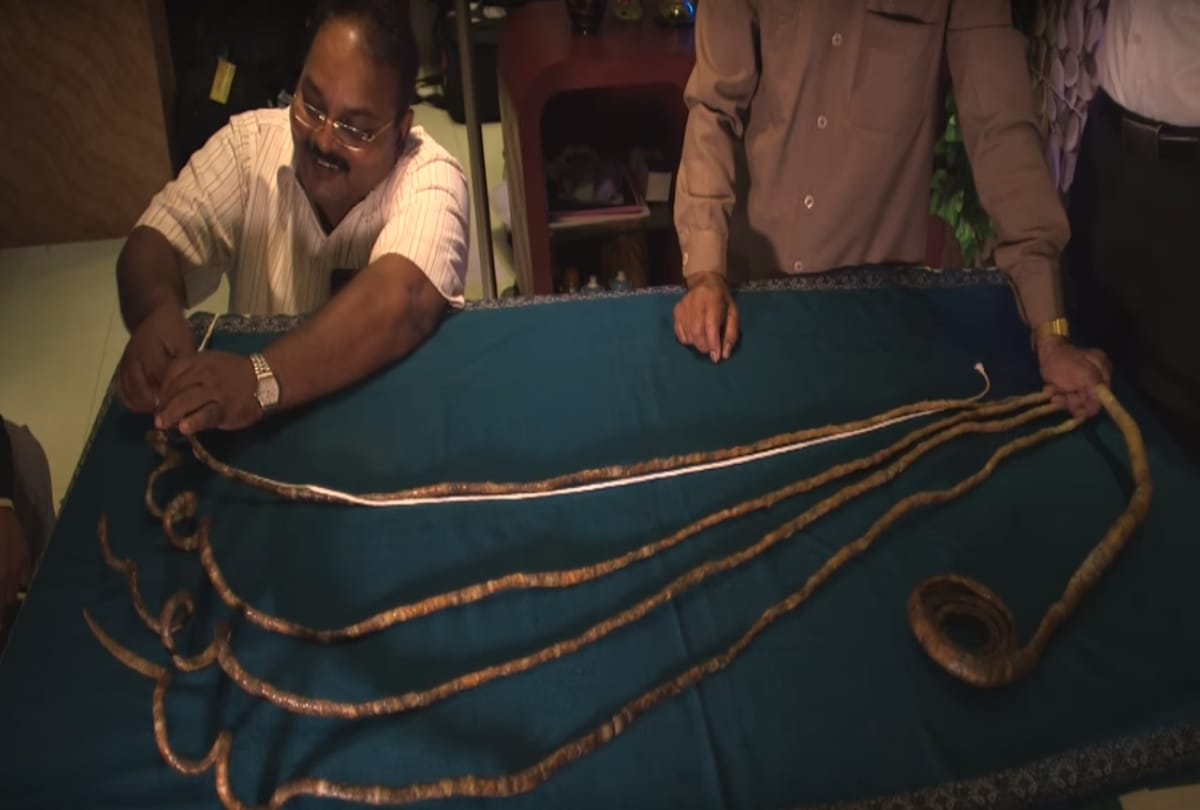 A man to cut his nails after sixty six years