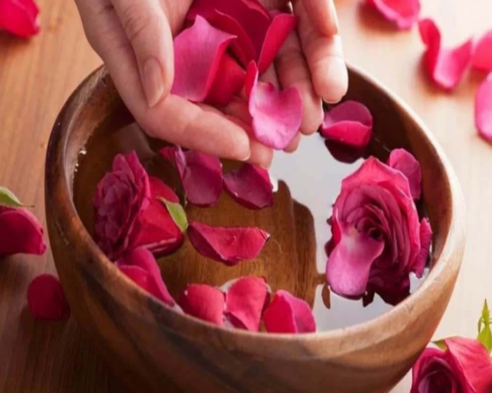 Know about the magical health and beauty benefits of rose petals