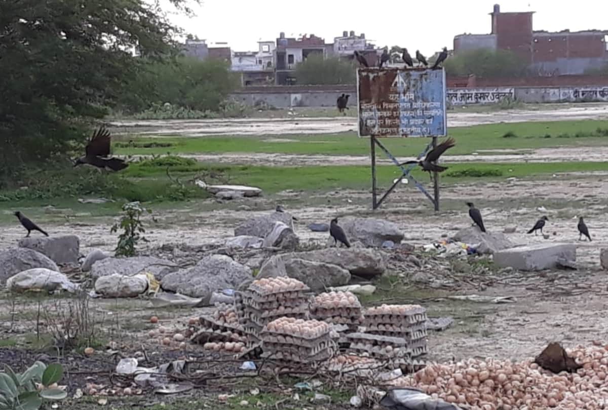 airport administration is careless in fsda report 