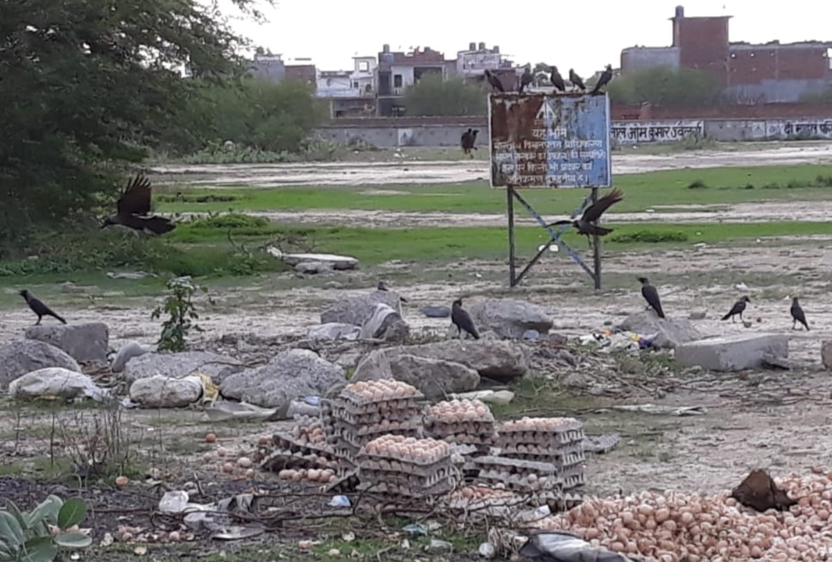 airport administration is careless in fsda report 