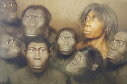 Know how human will look like after million years