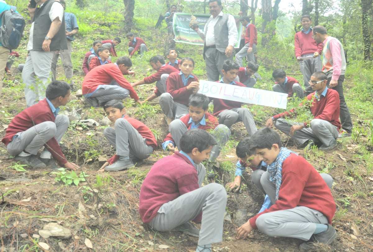 Himachal govt will  plant two lakh hectares of forest land by 2030