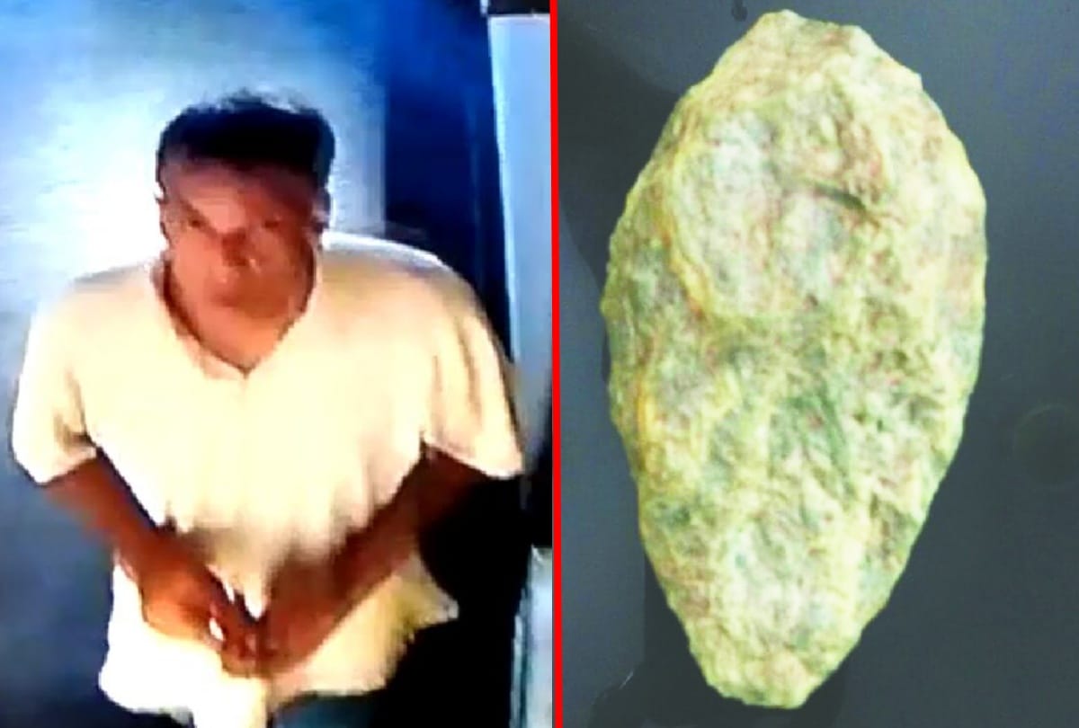 Delhi Police Arrested Rich Man On Charges Of Replika Theft life story