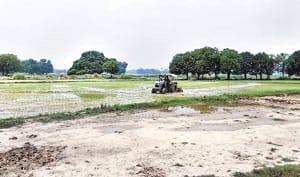 crime in thone gaon