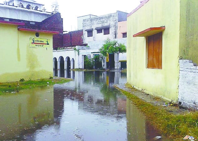 Water filled with schools and fields from Jhajjam rain