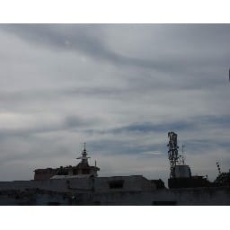 weather became evergreen due to rain