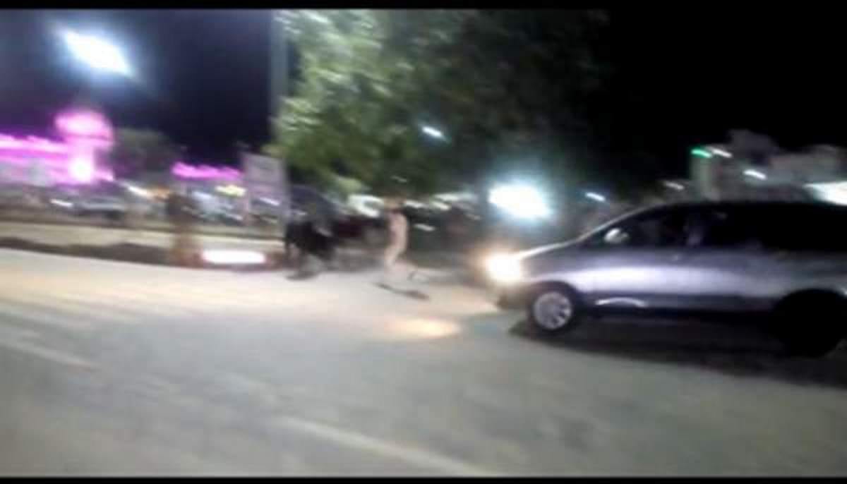 PM modi vist varanasi bull fight in front of his car