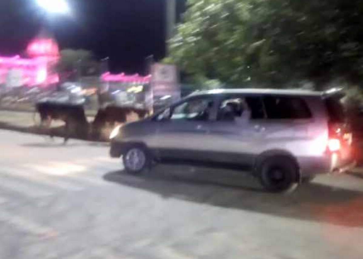 PM modi vist varanasi bull fight in front of his car